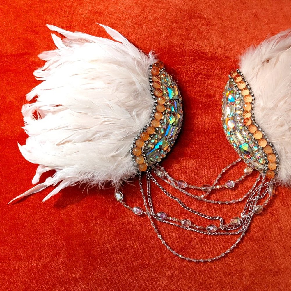 Victoria's Secret Angel Wings